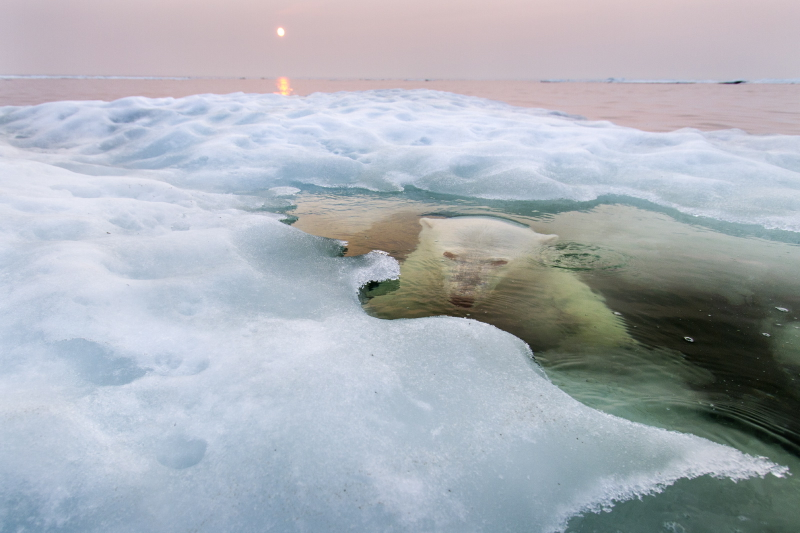 Illustration for article titled The 100 Most Astonishing Images of 2013